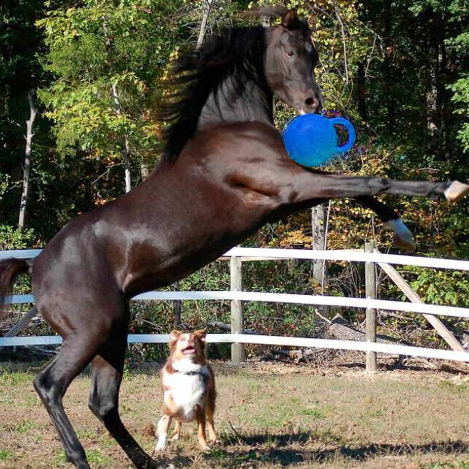 Pelota de Juego Goma, Pelota de Juguete para Perros, Pelota de Caballo para Entrenar Caballos, Accesorios de Juego, Azul Real