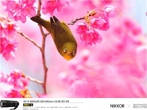 Nikon 200-500 mm/F 5.6 AF-S NIKKOR E ED VR lenses - 6