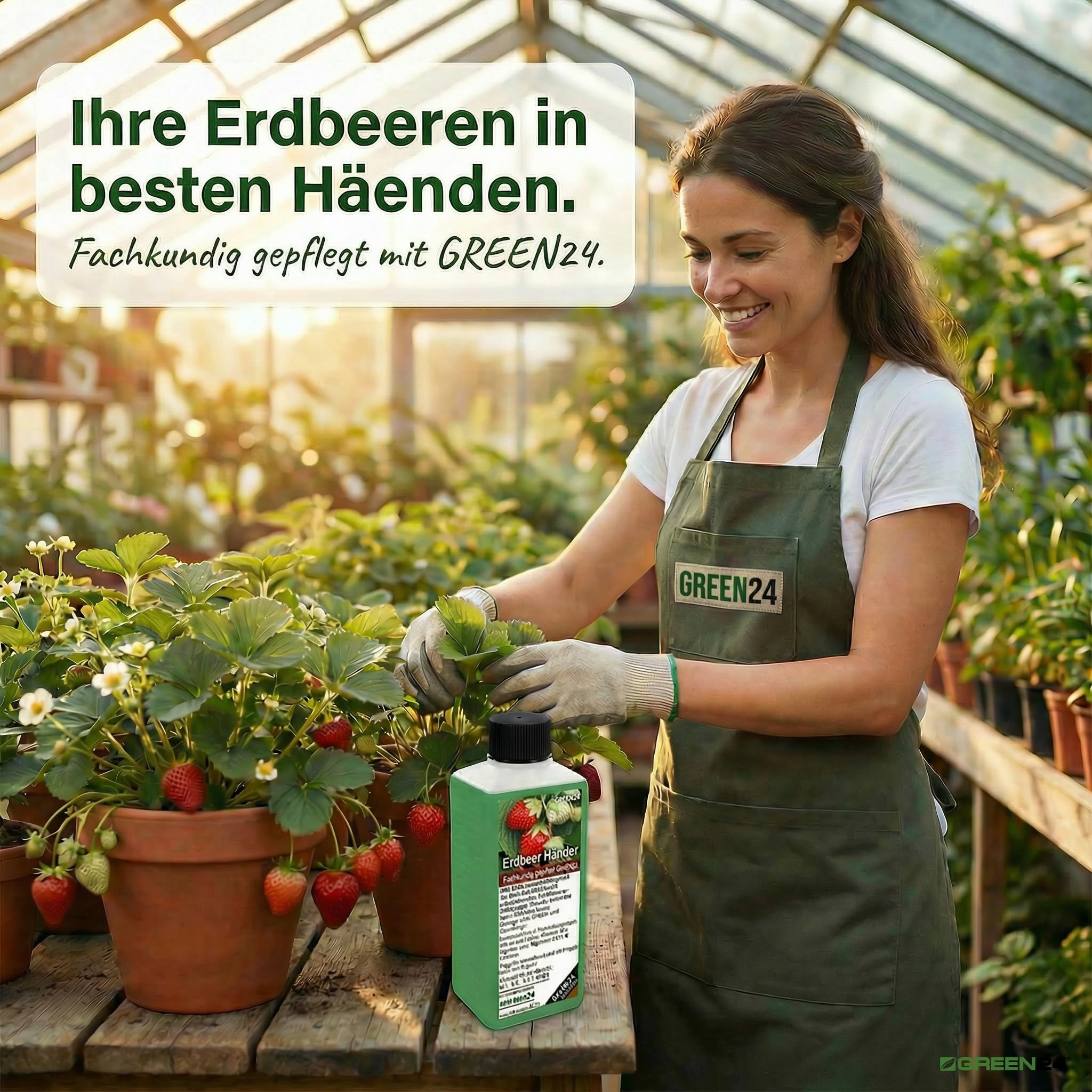 Erdbeer-Dünger XL 1 Liter Spezial Dünger für Erdbeer-Pflanzen, Fragaria Arten
