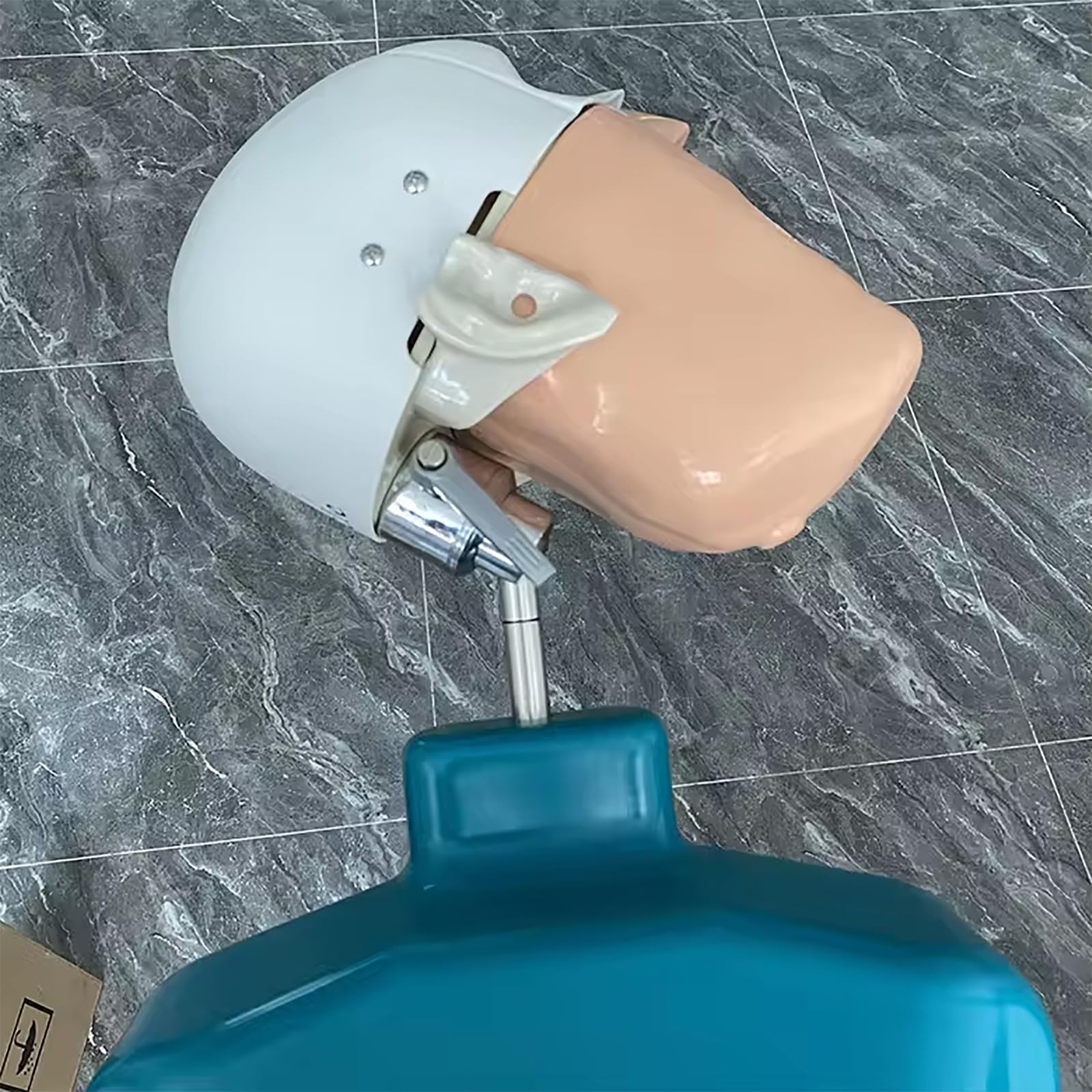 Dentales Lehrkopfmodell, Dentalphantomkopfmodell Mit Rückenlehnendesign, 360° Verstellbarer Kopfwinkel, Zähne Können Bewegt Und Entleert Werden, Sicher Und Geruchlos, Für Zahnärzte
