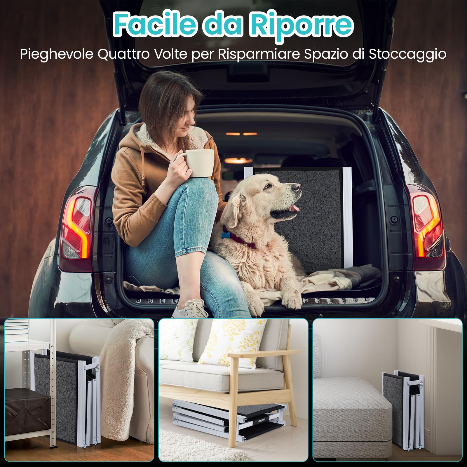 DAISTERN da BSWAY Rampa Auto per Cani Pieghevole 170cm x 44cm, Scaletta Pedana Auto Cane con Superficie Antiscivolo, Telaio Metallo Alluminio, Ideale per Auto SUV Camion Letto, Portata Massima 129KG
