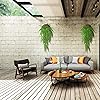 Product Photo 5