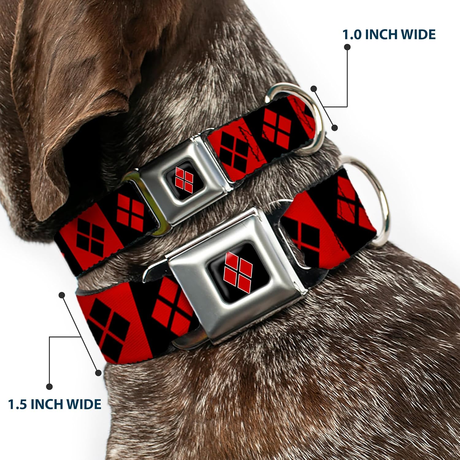 Dog Collar Seatbelt Buckle Harley Quinn Diamond Blocks Red Black Black Red 9 to 15 Inches 1.0 Inch Wide, Multicolor