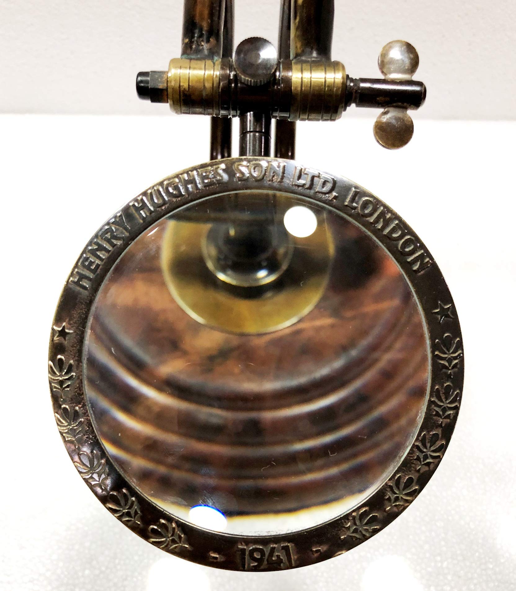 Table Guéridon En Loupe De Thuya, Art Déco Modernisme– Débu