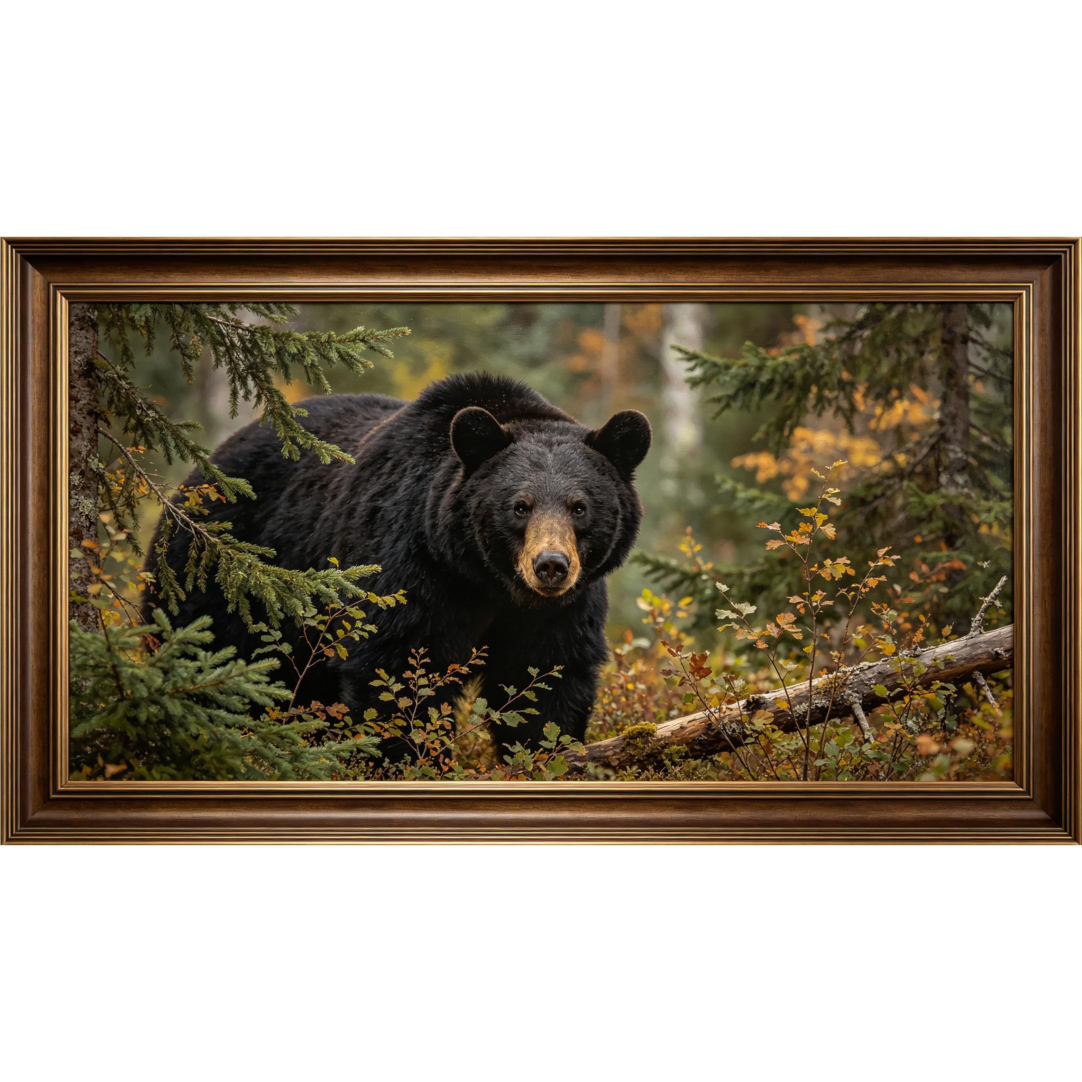 QZLITHOTIC 50x90cm3D Framed Wall Art， Forest Black Bear Wildlife Landscape SelfAdhesive Mural， WaterActivated Peel & Stick Fabric Decor Wall Decal for Bedroom Living Room