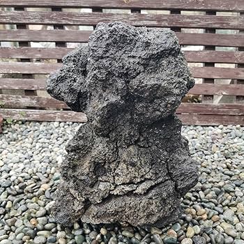 Amazon.co.jp: 富士溶岩石26.5キロ庭石鑑賞石石盆石水石灯籠庭坪庭盆栽