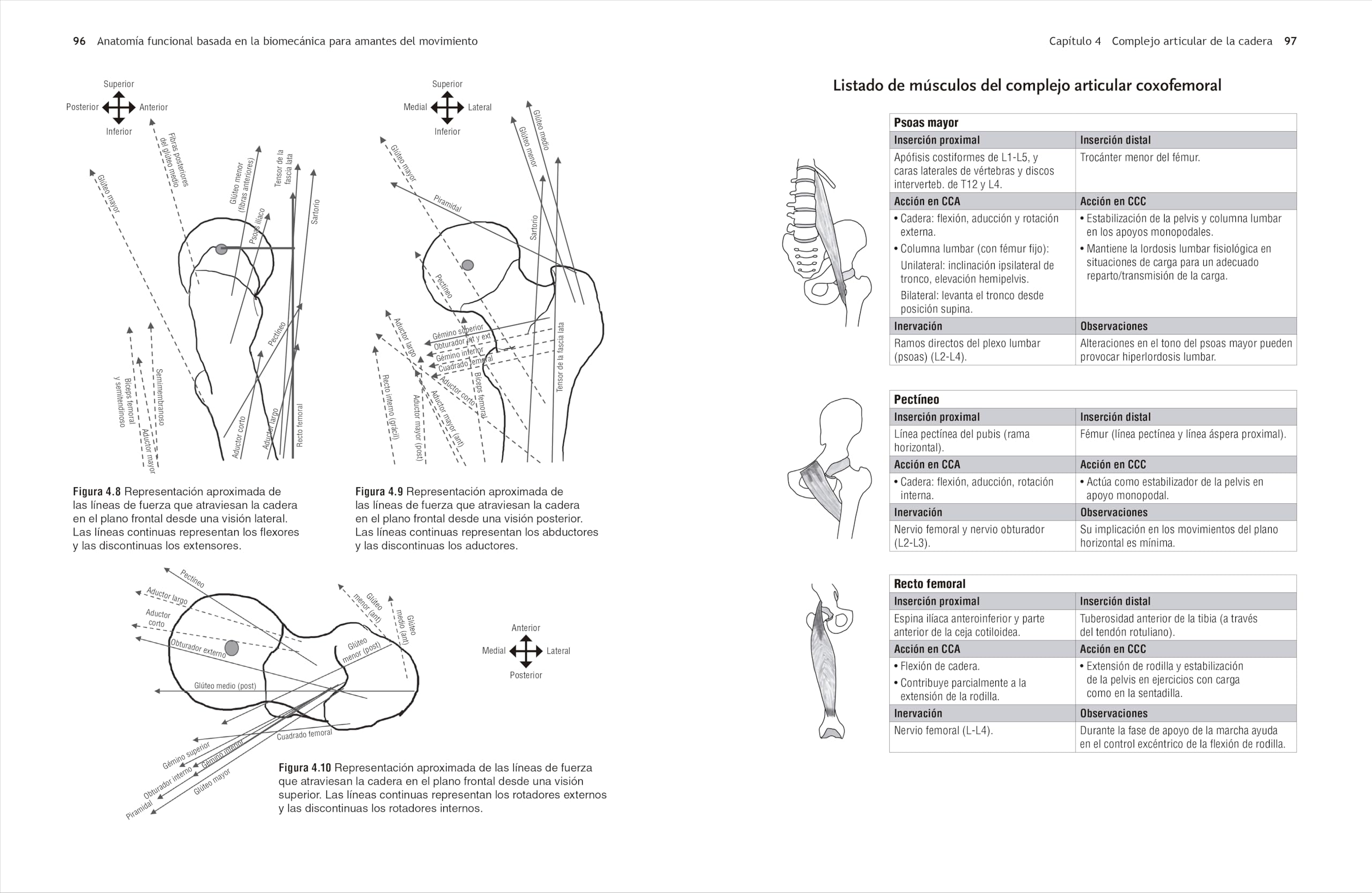 Anatomía funcional basada en la biomecánica para amantes del movimiento