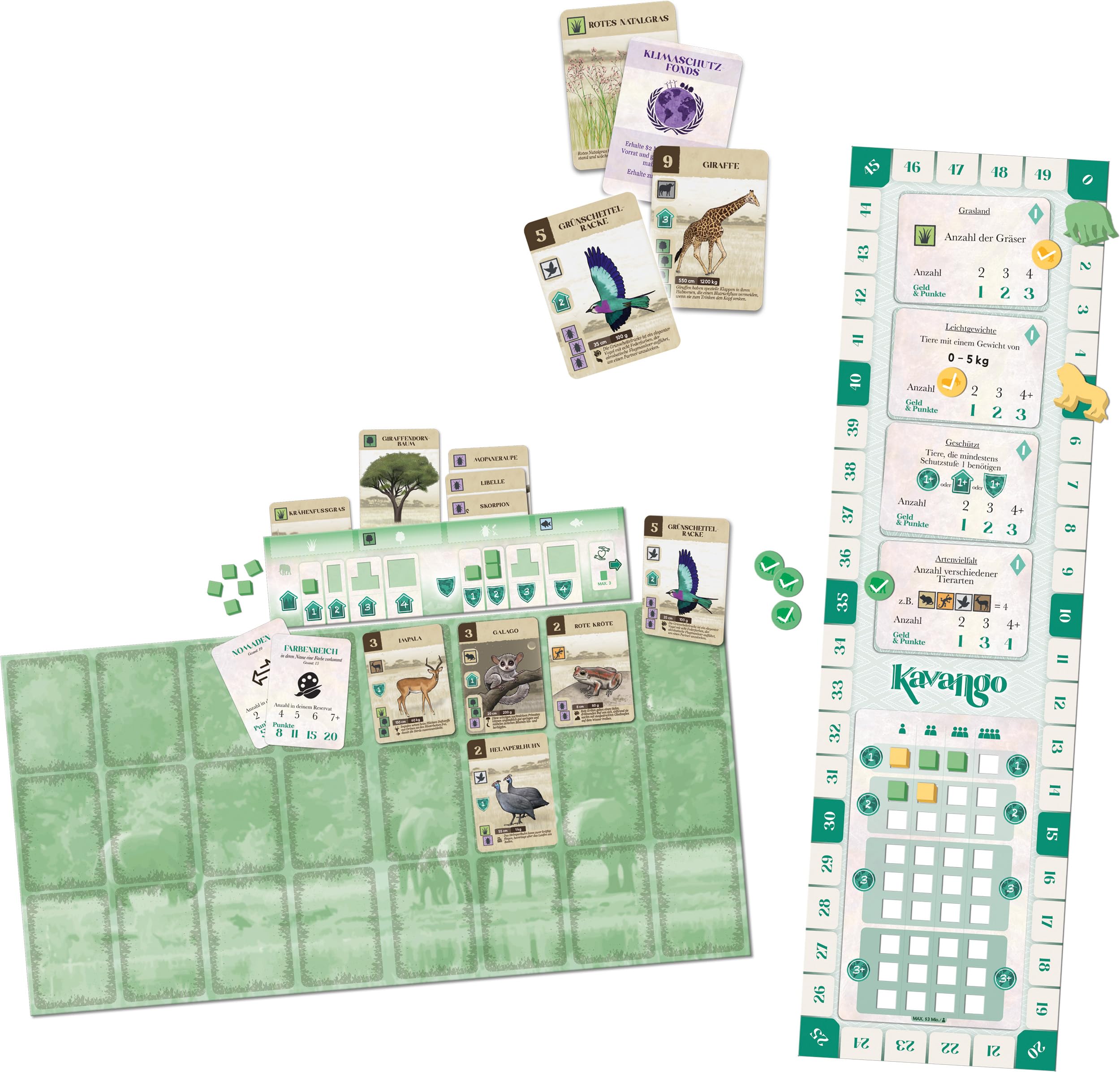 Schmidt Spiele Kavango (d) - acquista su