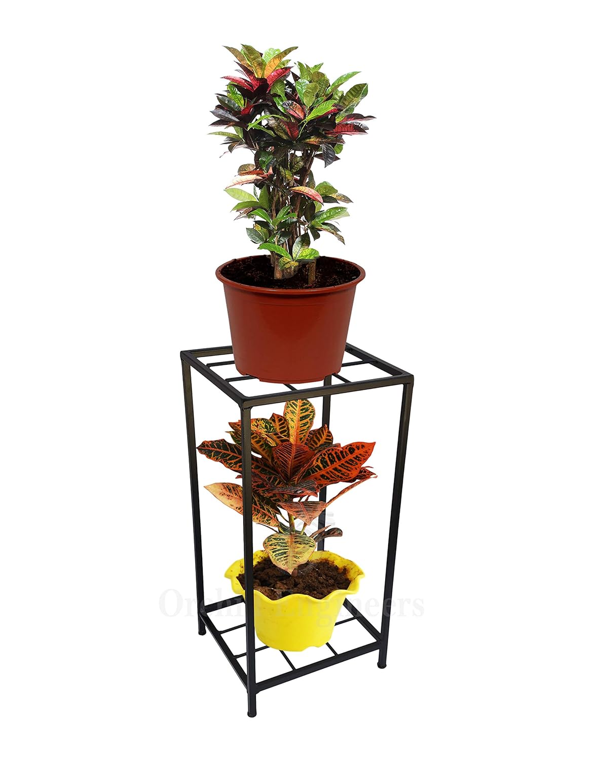 ORCHID ENGINEERS Iron 2 Tier Plant/Pot Stand for Balcony Amazon.in