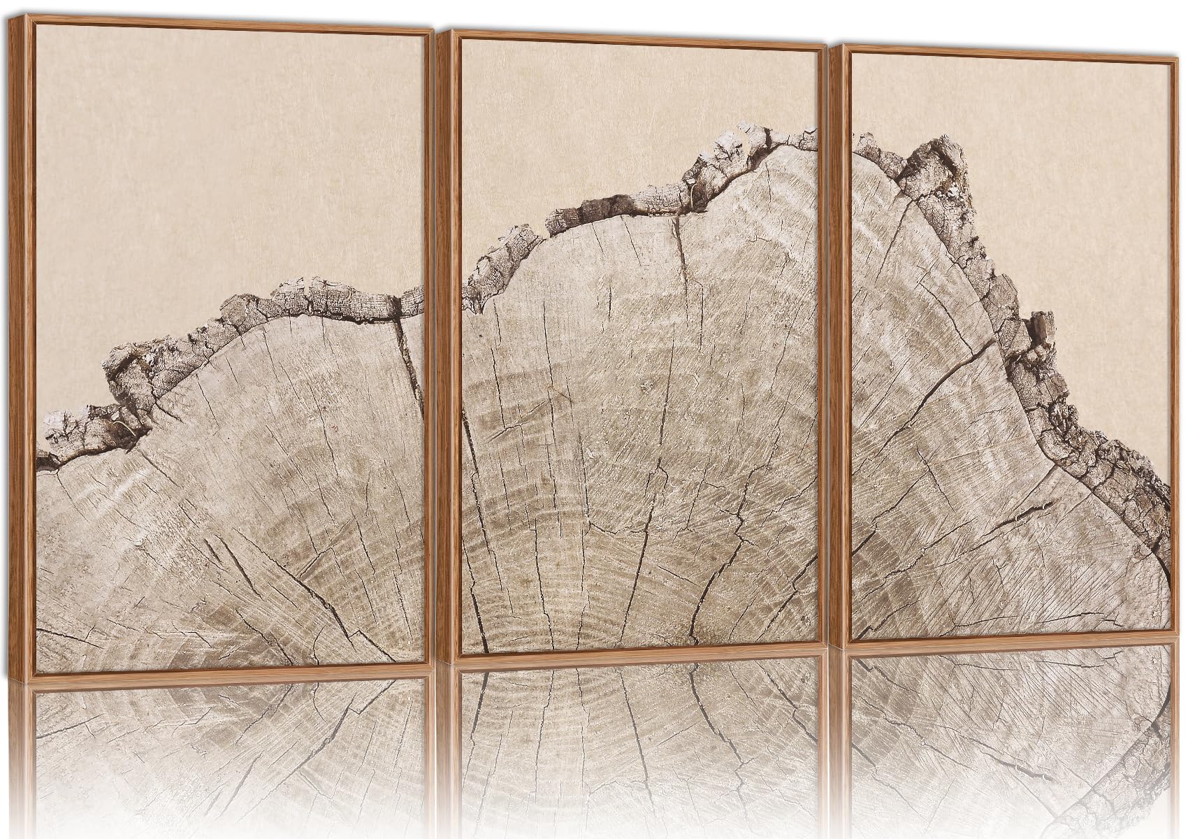 SIGNINART Large Tree Ring Framed Canvas Wall Art Set, Rustic Beige Nature Wooden Wall Decor, Neutral Wood Stump Artwork, Modern Art Prints for Bedroom