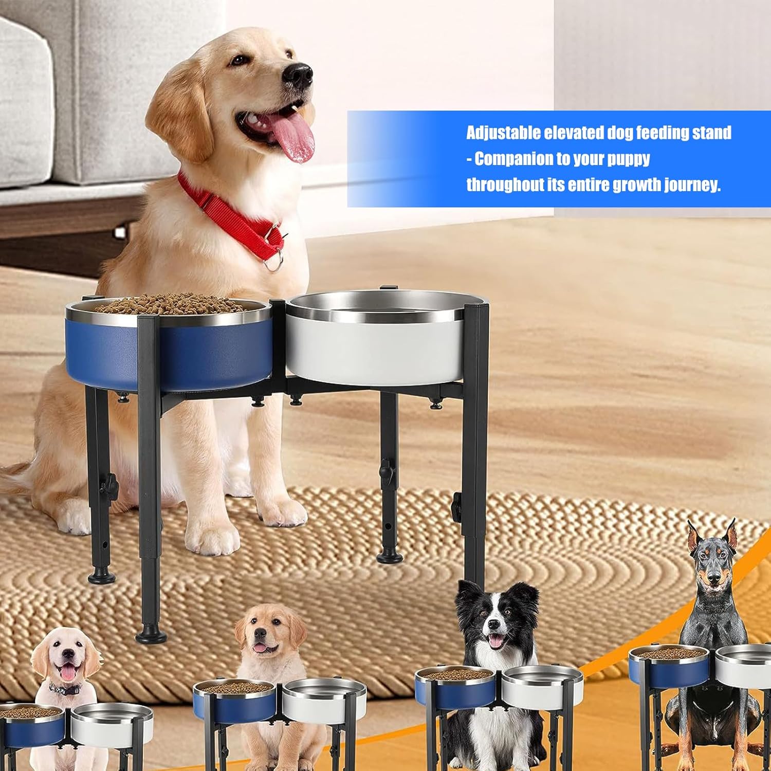 Easy to Regulable Pet Bowl Stand Modern Homes Styles Strong Iron Stable Base Pet Slows Water Feeders Height Adjustable