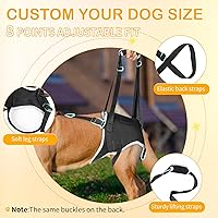 Vista 2 de Arnés ajustable para perros grandes, soporte de pierna trasera, soporte ajustable para perros grandes, patas traseras, cadera y pierna trasera