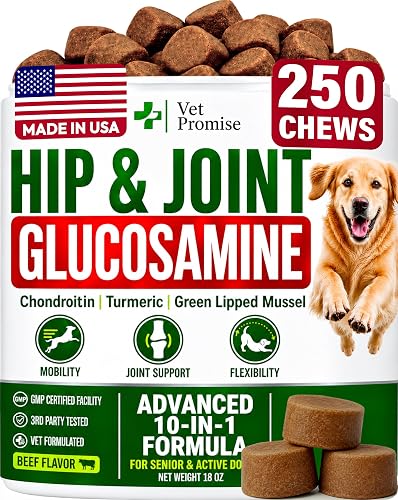 Glucosamine Hip & Joint Supplement for Dogs - 250 Chews with Chondroitin