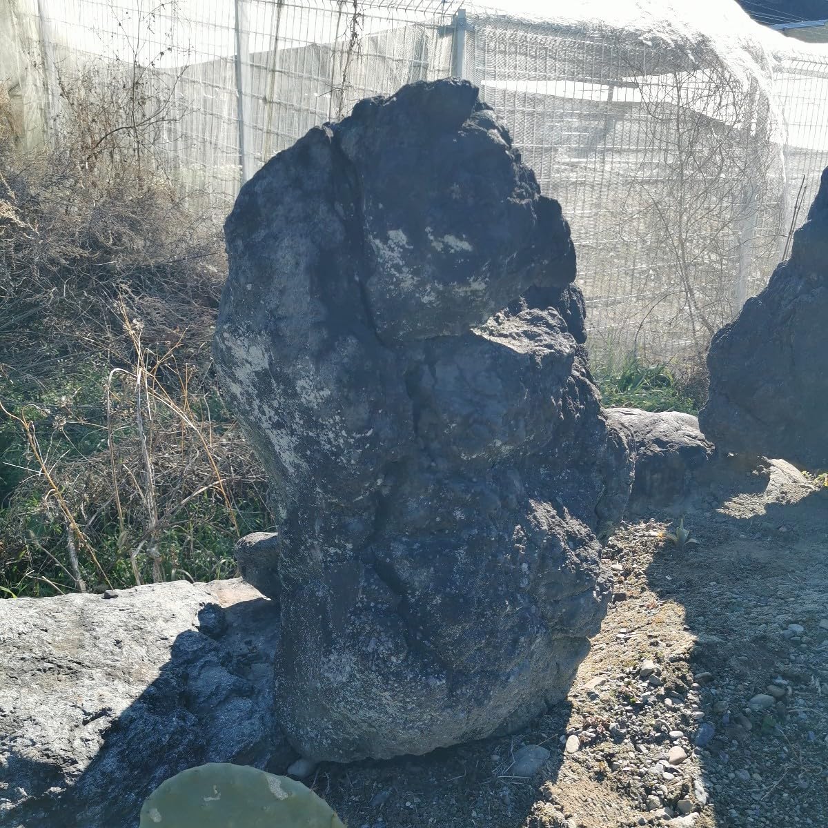 Amazon.co.jp: 浅間溶岩石166キロ庭石鑑賞石石盆石水石灯籠庭坪庭盆栽 