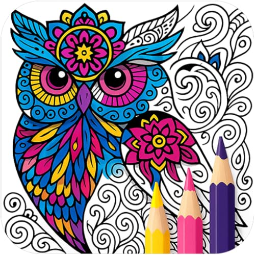 Mandala Libro De Colorear Dibujar Juego - Colorea, Pinta Y Dibuja Mandalas Por Número Para Relajarse Y Feliz Zen