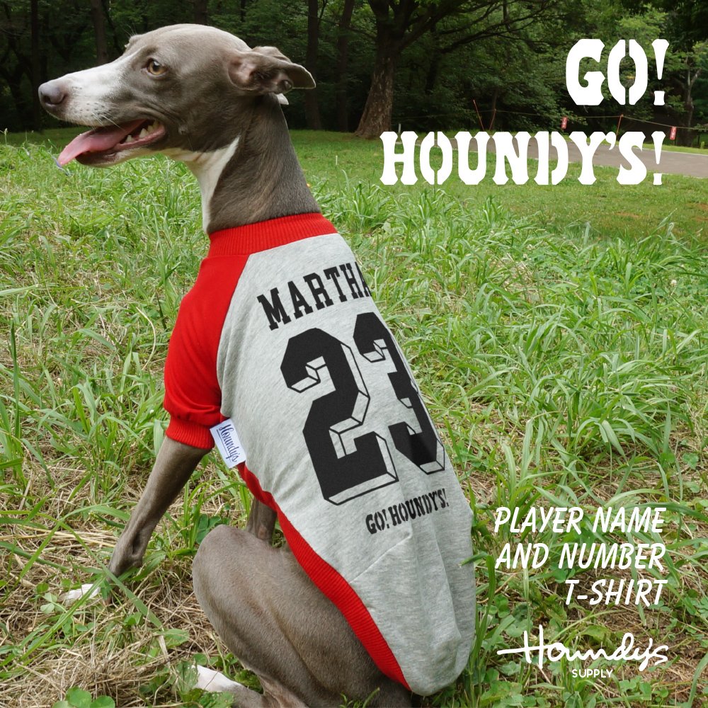 Amazon | 名入れ 背番号＆ネーム ラグラン Tシャツ イタリアングレー