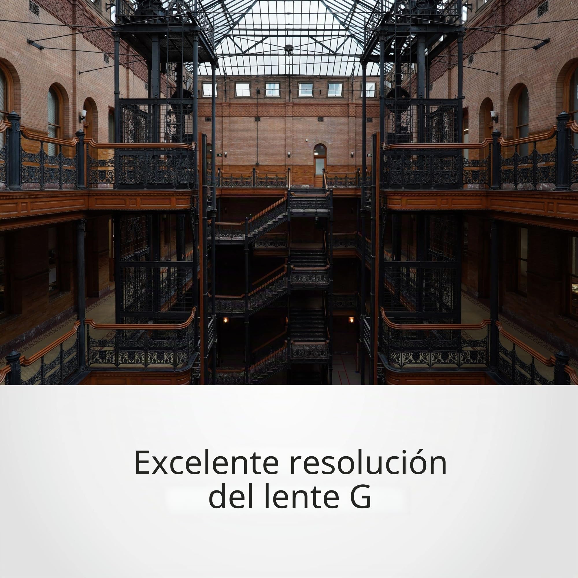 Sony E 16-55mm f/2.8 G - Objetivo Zoom, APS-C, Rango Medio (SEL1655G)