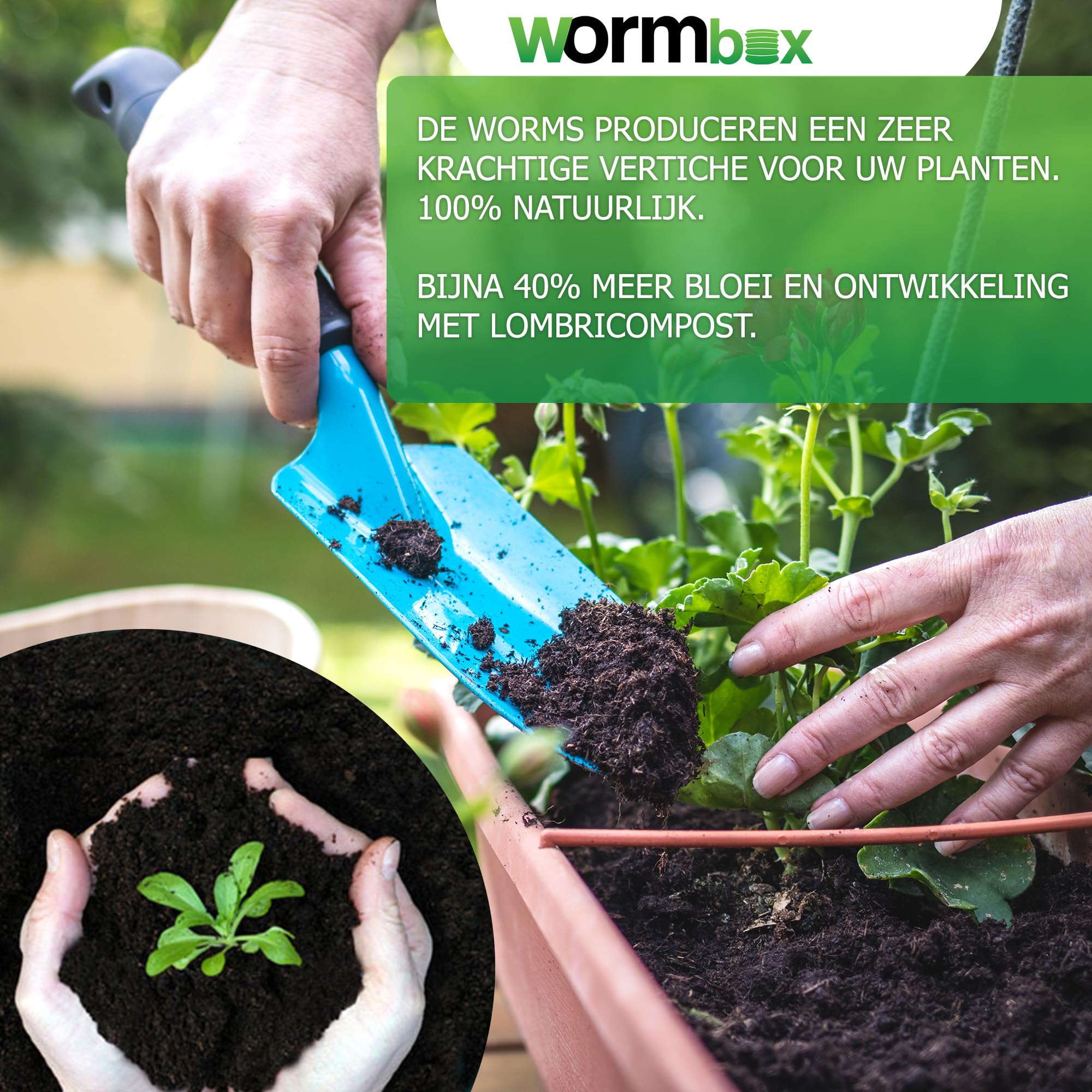 WORMbox | Wurmkomposter Wurmfarm Wurmkiste mit 4 Schalen Grün + 1kg Kompostwürmer / 2000 STK + 1 Coco + 1 Coco | 64 Liter | Regenwurmkomposter, Kompostwürmer produzieren Wurmhumus