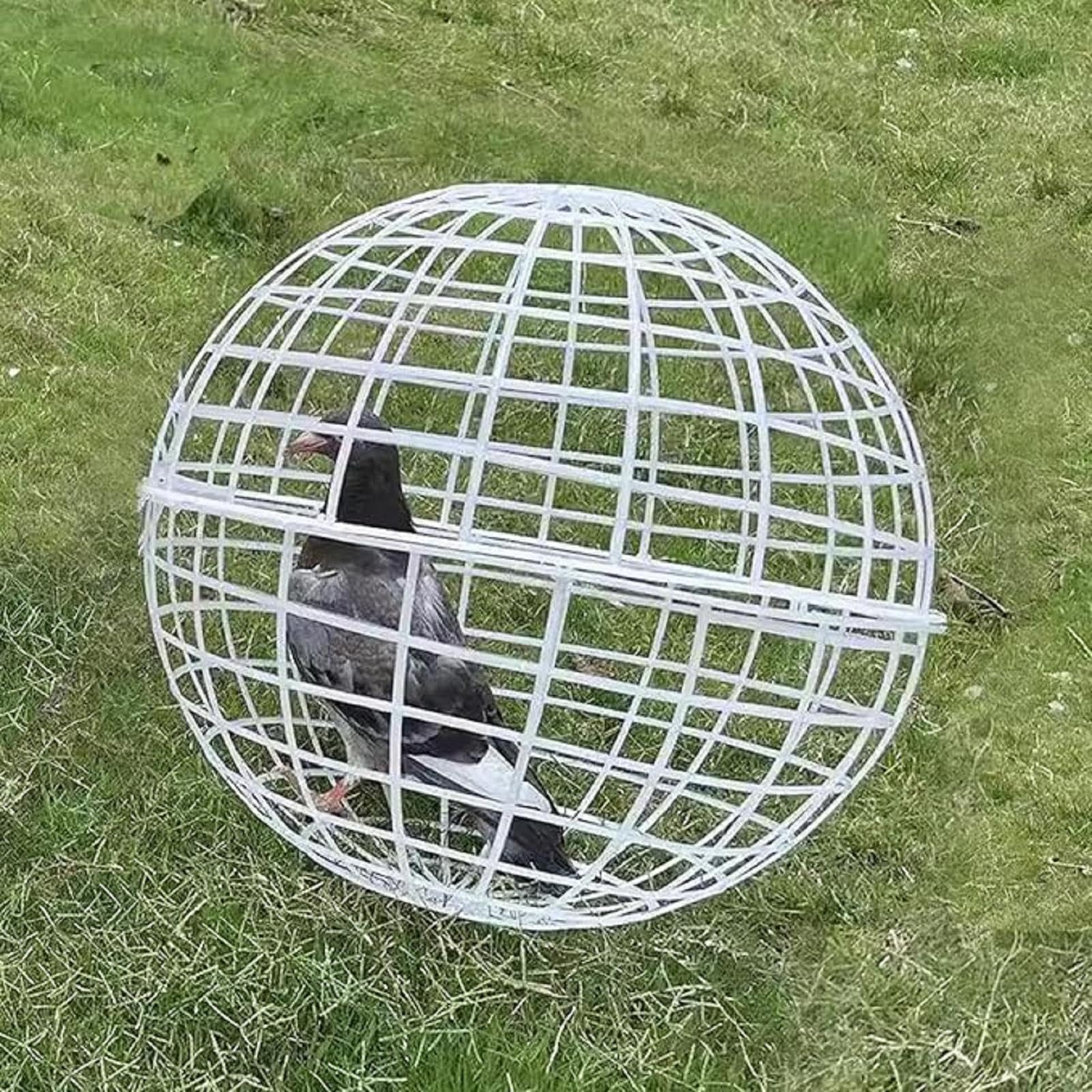 Hühner Ball Käfig 40cm - 3 Stück Kugelkäfige Für Kleintiere Wie Hühner & Kaninchen