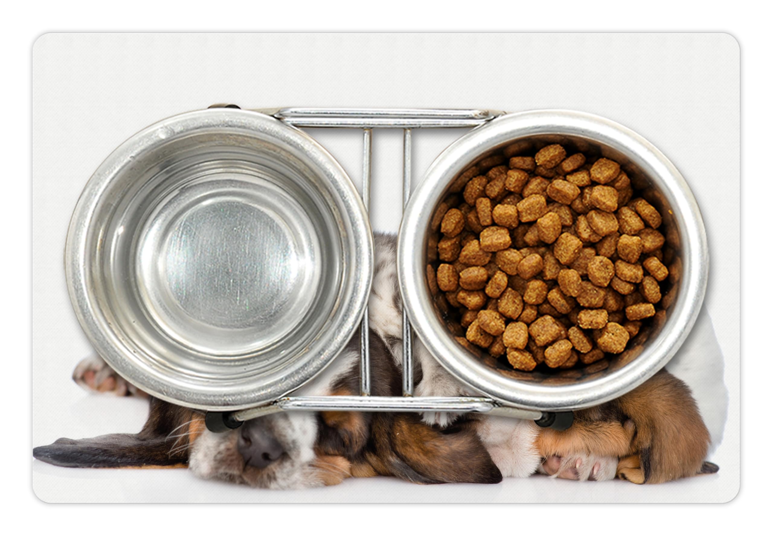 Lunarable Haustiermatte Für Futter & Wasser – 45,7x30,5 Cm, Rutschfest, Mit Lustigem Katz-Welpen-Motiv