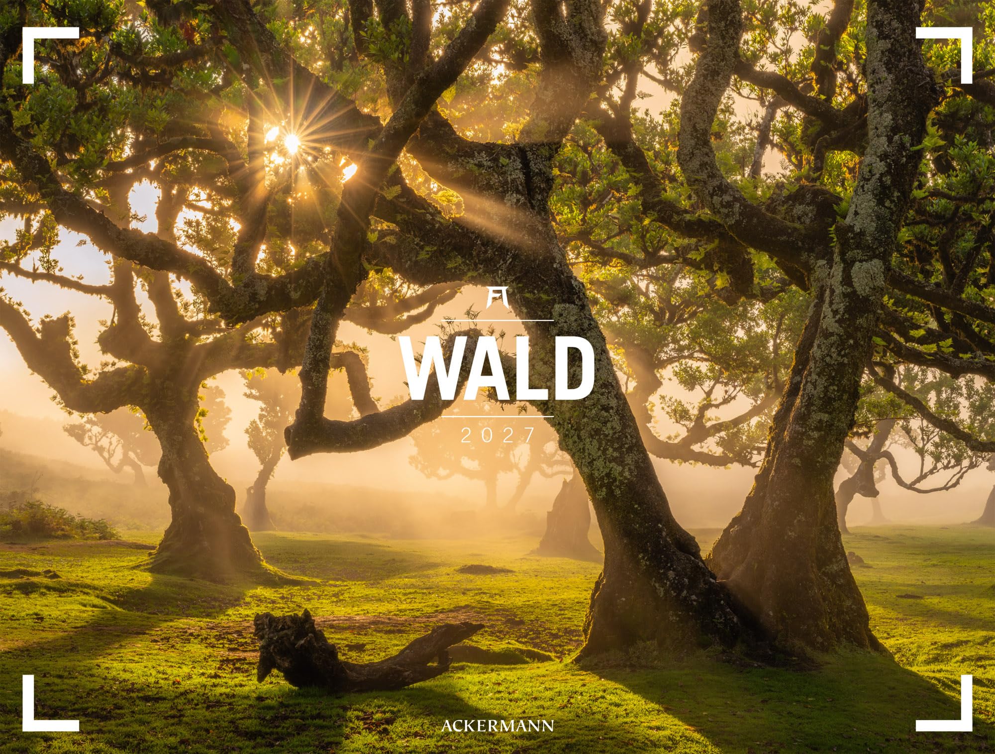 Wald Gallery Kalender 2027: Geschmackvoller Natur-Kalender im großen Querformat (66x50 cm) | Wälder und Bäume im Großformat