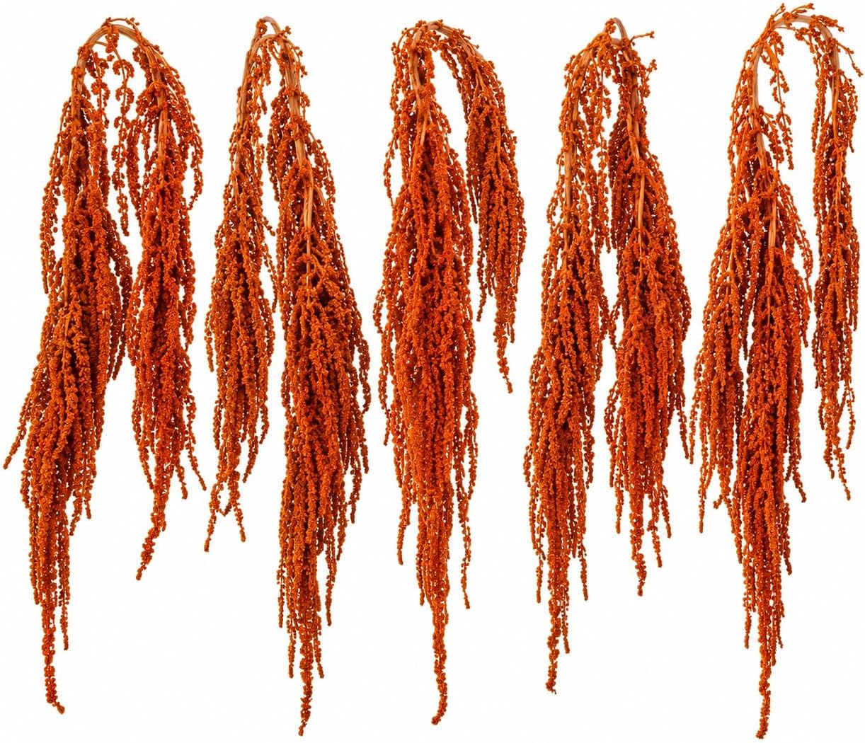 5 Pack Orange Preserved Amaranthus Dried Hanging Flowers for Wedding Vase Decor (Orange)