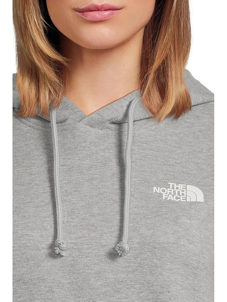 Gray The North Face Evolution Box NSE Hoodie