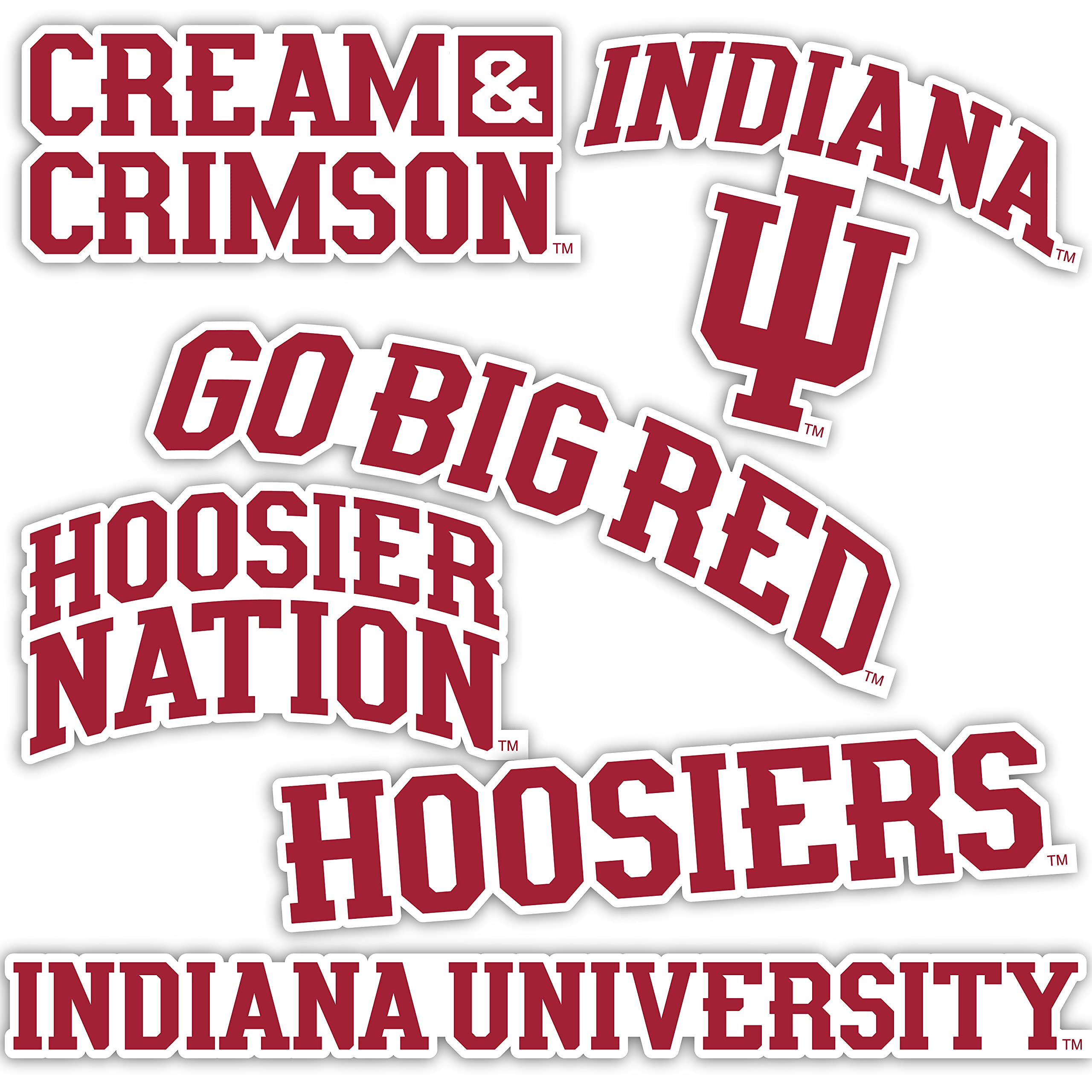 Desert Cactus Indiana University Sticker Hoosiers Bloomington Vinyl Decals Laptop Water Bottle Car Scrapbook Sheet T2 (Type 2)