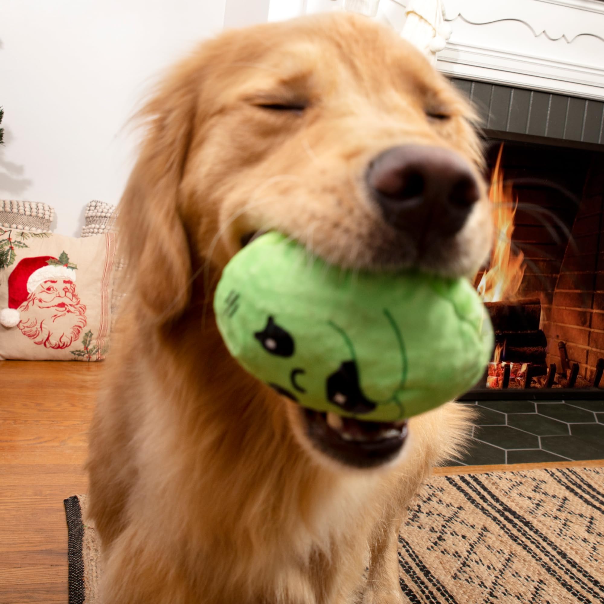 Pet Supplies : Barkbox Consuela The Christmas Cactus Dog Toy  Plush Rip &  Reveal Holiday Toy with Whip-N-Flip Arms, Fluffy Stuffing & Hidden Spiky  Ball Squeaker  Festive Play for Large