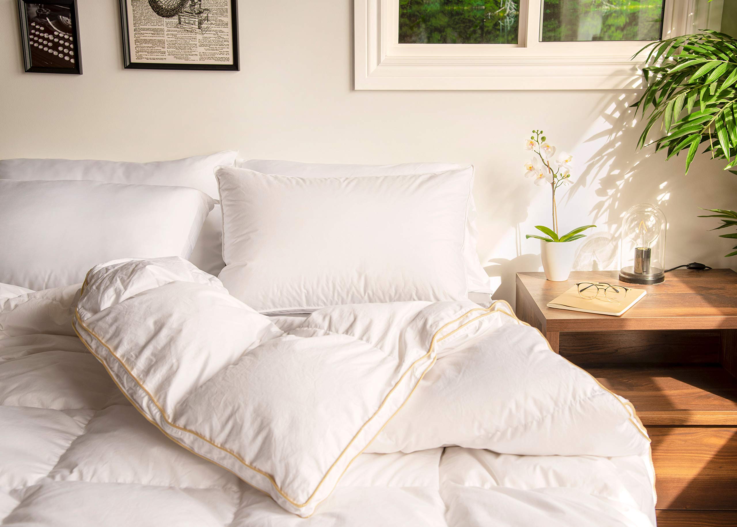 glucksberg down comforter