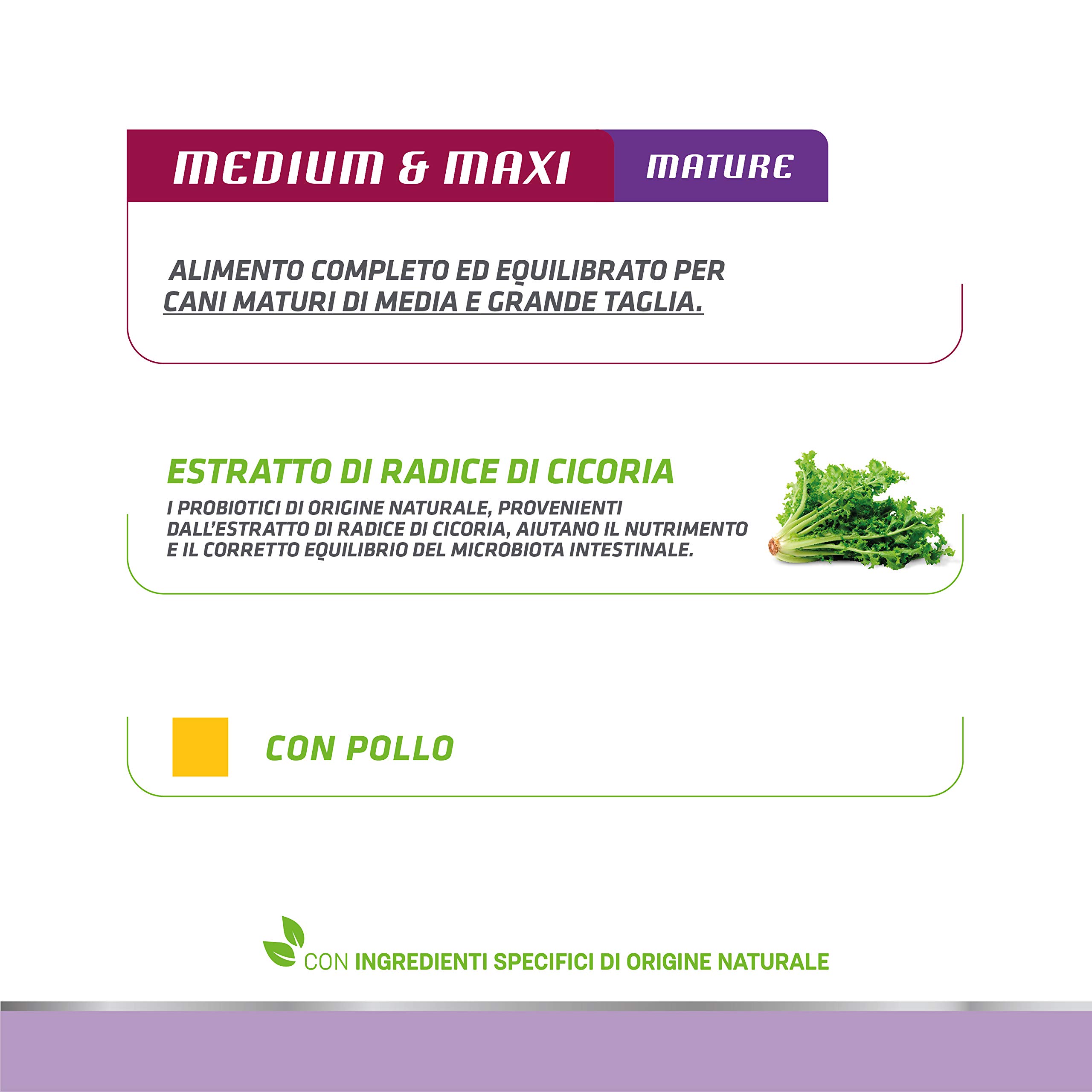 Natural Trainer Medium-Maxi Maturity - Cibo Umido per Cani con Pollo 12 x 400 g