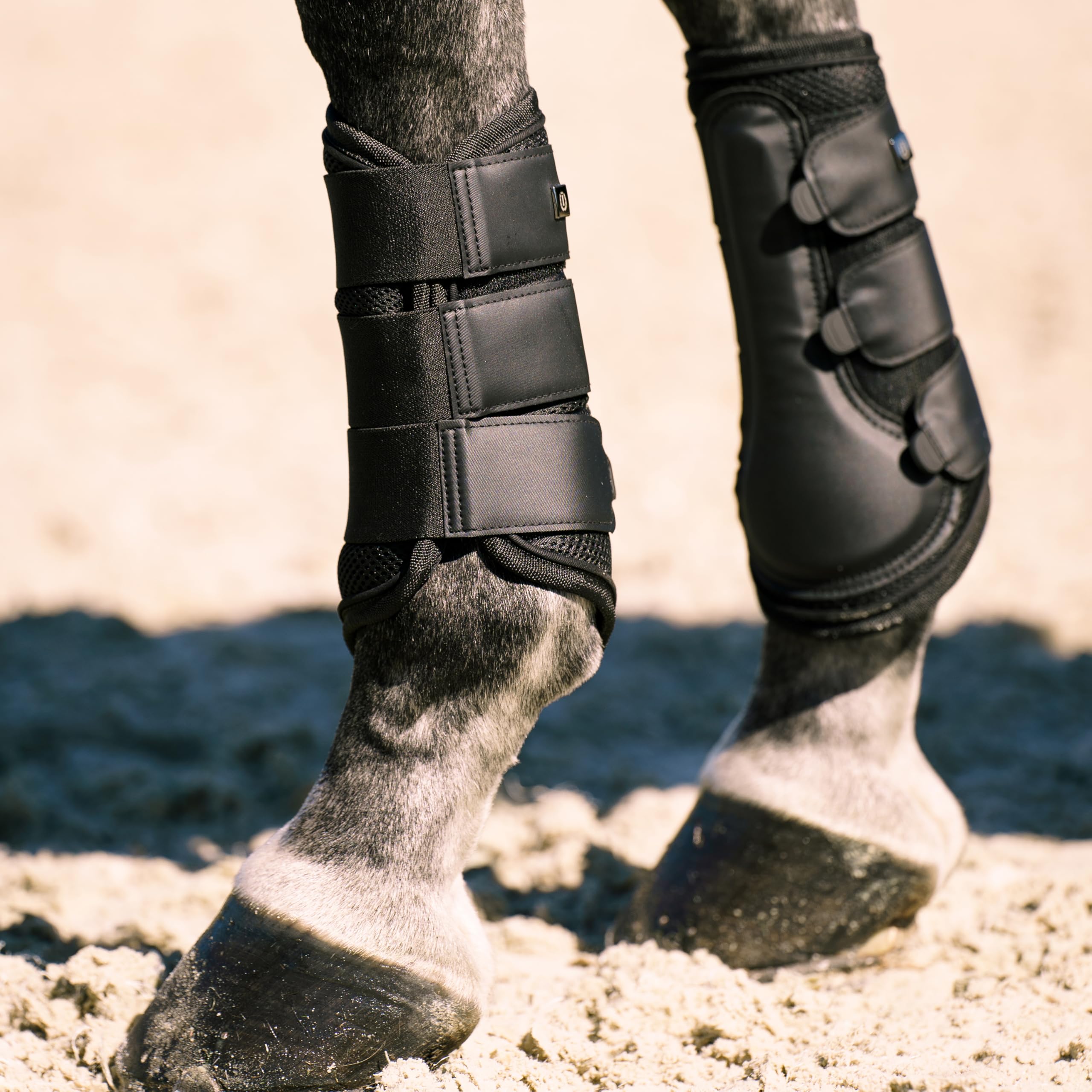 Imperial Riding IRH Cloud Dancer Gamaschen, atmungsaktiv & leicht, feuchtigkeitsregulierend, stoßabsorbierend, Polyurethan, Mesh & Neopren, optimaler Beinschutz für Training & Alltag, Schwarz, Pony