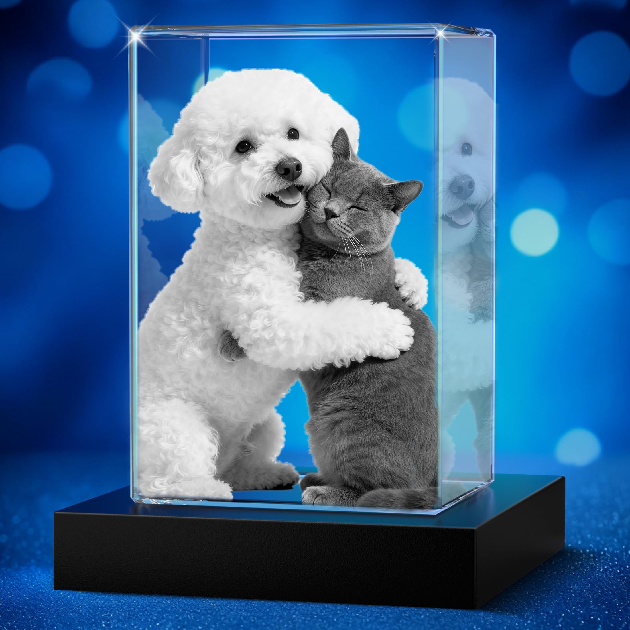 C.light 3D Crystal Pet Memorial Photo Portrait Small – Personalized Laser Engraved Dog & Cat Keepsake, Custom Sympathy Gift with Optional LED Base |