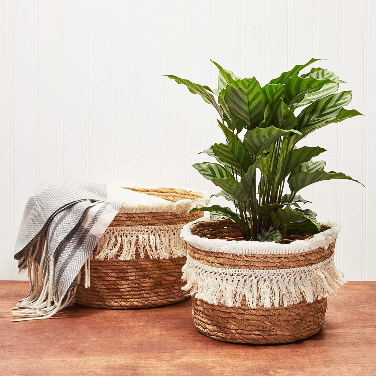 Boho Natural Woven Round Storage Baskets with Fringe, Set of 2