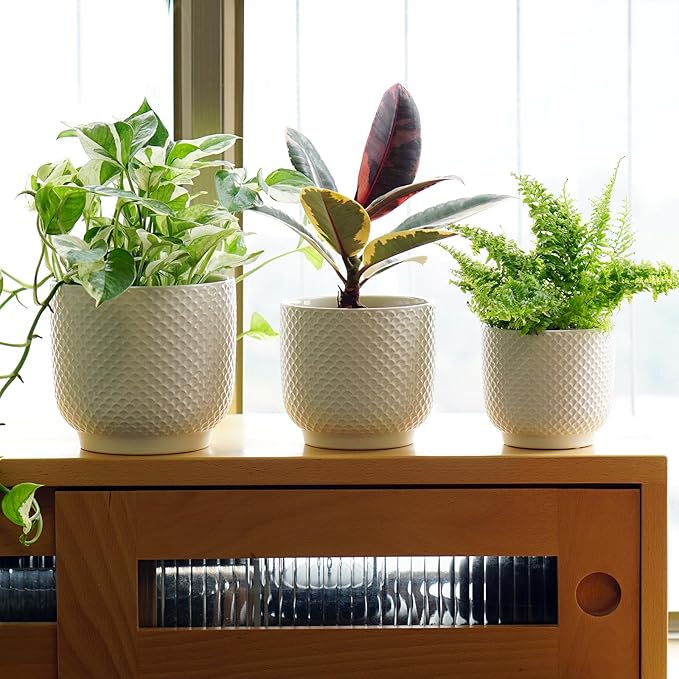 Overall, these ceramic pots are a great addition to any plant lover's collection, offering a sleek and modern design with practical features like drainage holes. The set of three pots in varying sizes provides flexibility in arranging your plants and creating a visually pleasing display. Durable and weather-resistant, these pots are suitable for both indoor and outdoor use, making them a versatile option for any gardener. Description by ChatGPT.