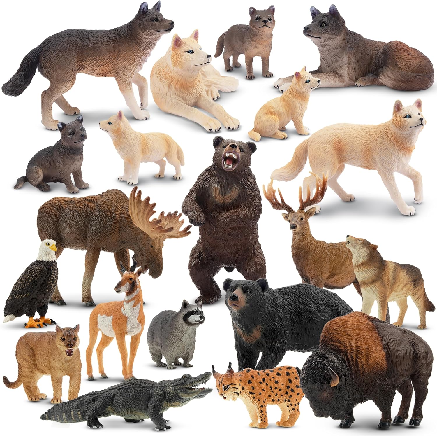 Toymany 20PCS Realistic Forest Animal Figurines, Plastic Jungle Animal Set Includes Wolf, Raccoon,Lynx,Wolf,Bear,Eagle, Educational Toy Cake Toppers Christmas Birthday Gift for Kids Toddlers