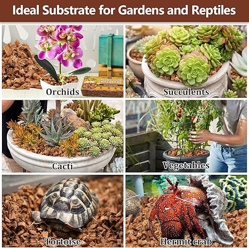 Miniatura 35 de Legigo Paquete de 6 chips de coco para plantas, 6.6 libras, 100% orgánico de chips de coco para macetas con bajo equilibrio EC y PH, sustrato de 6