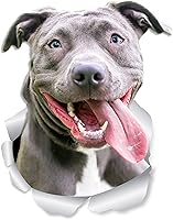 Vista 1 de Winston & Bear Happy Pit Bull Dog - Calcomanías de pared para perros, paquete de 2, calcomanías 3D Bully para paredes, automóviles, inodoro y más