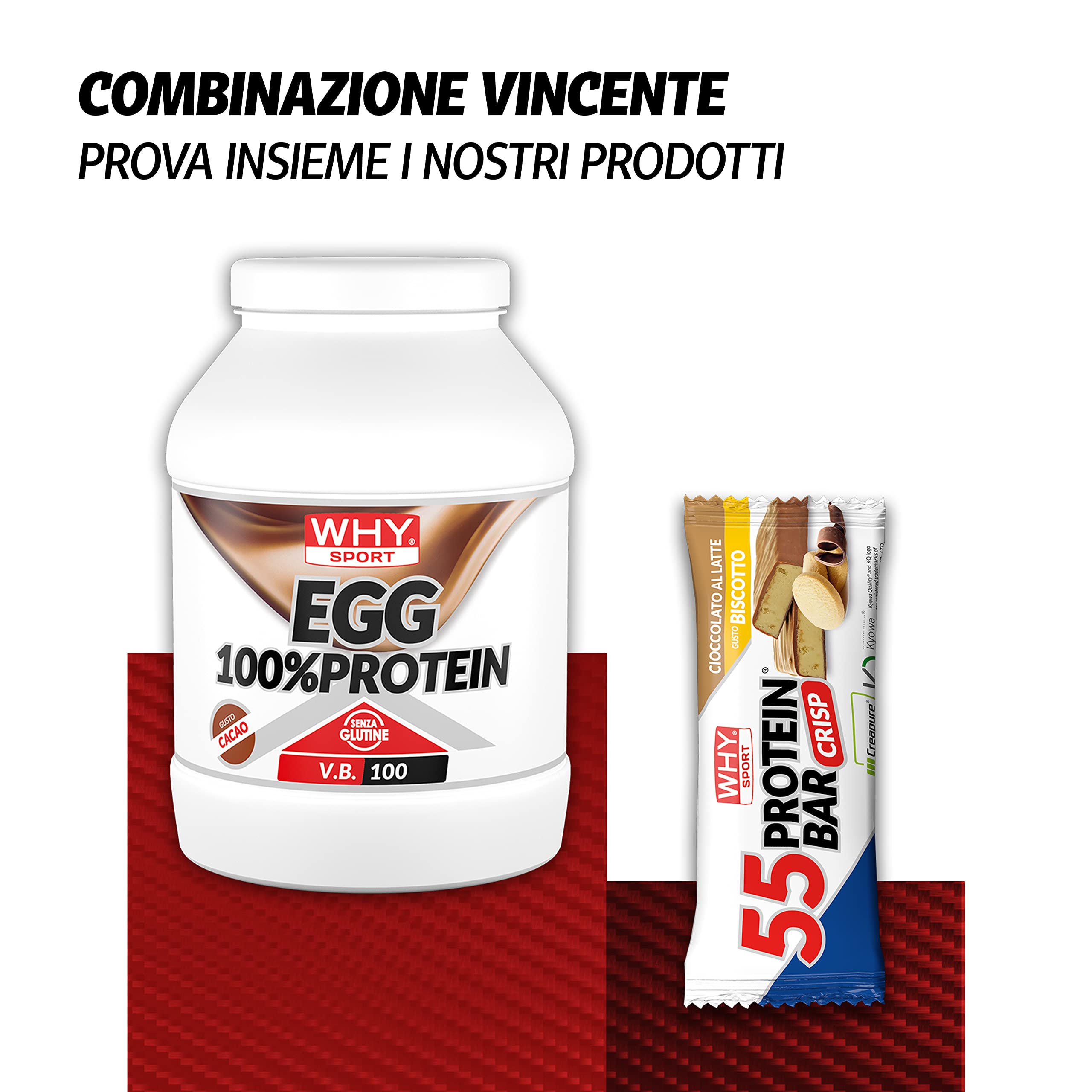 WHY SPORT EGG 100% Protein - Protein ohne Laktose - Proteinpulver - Eialbuminprotein - Kakao-Geschmack - 750 g