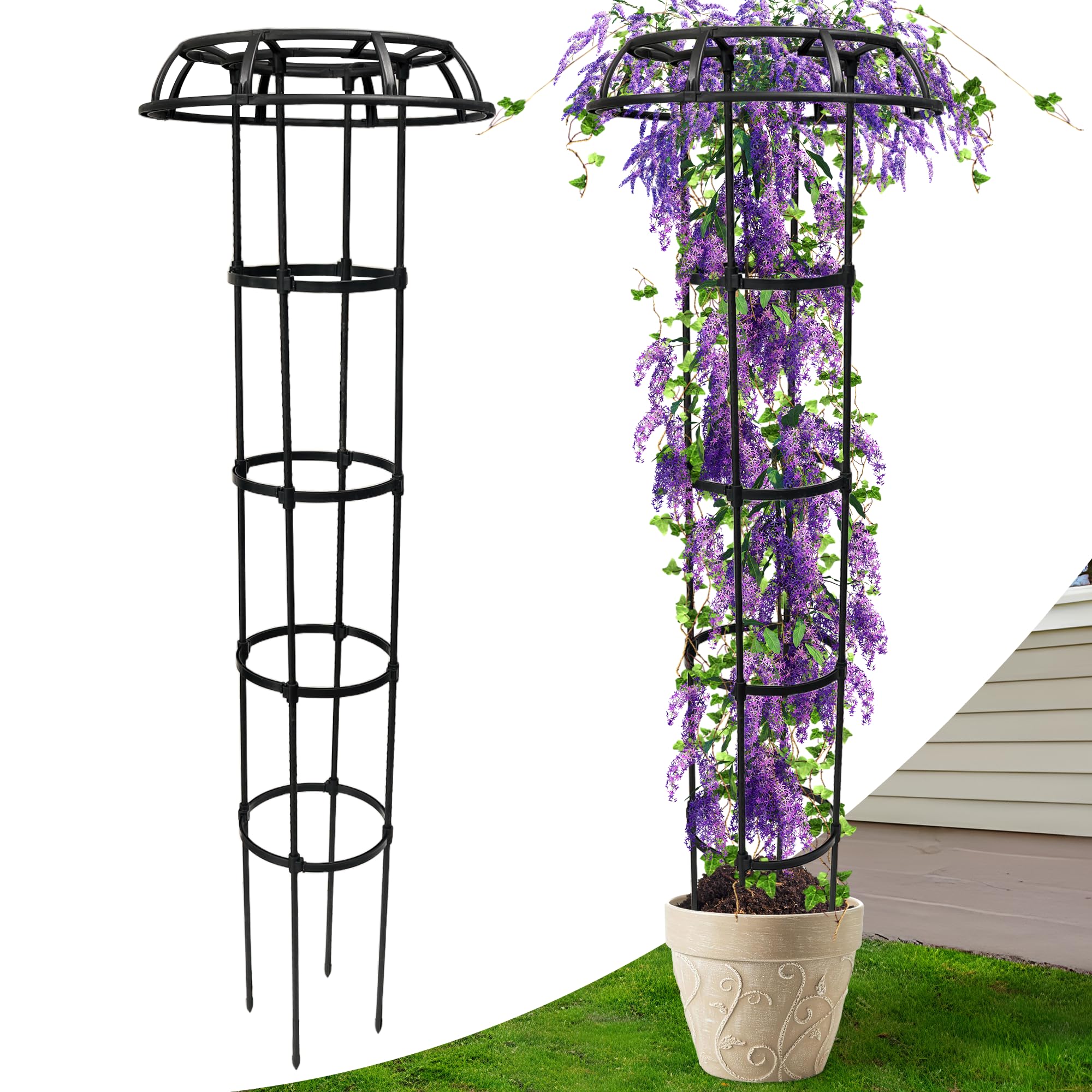 obélisque jardin 165cm plantes