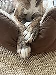 Review Image by Amazon Customer