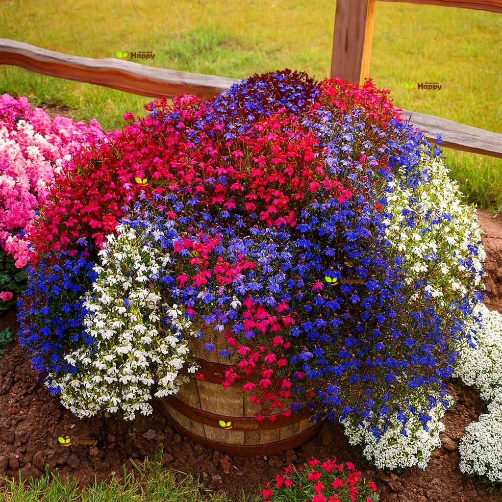 Trailing Lobelia Cascade Mix 7000 Seeds + Plant tag Lobelia Pendula Balcony Flower