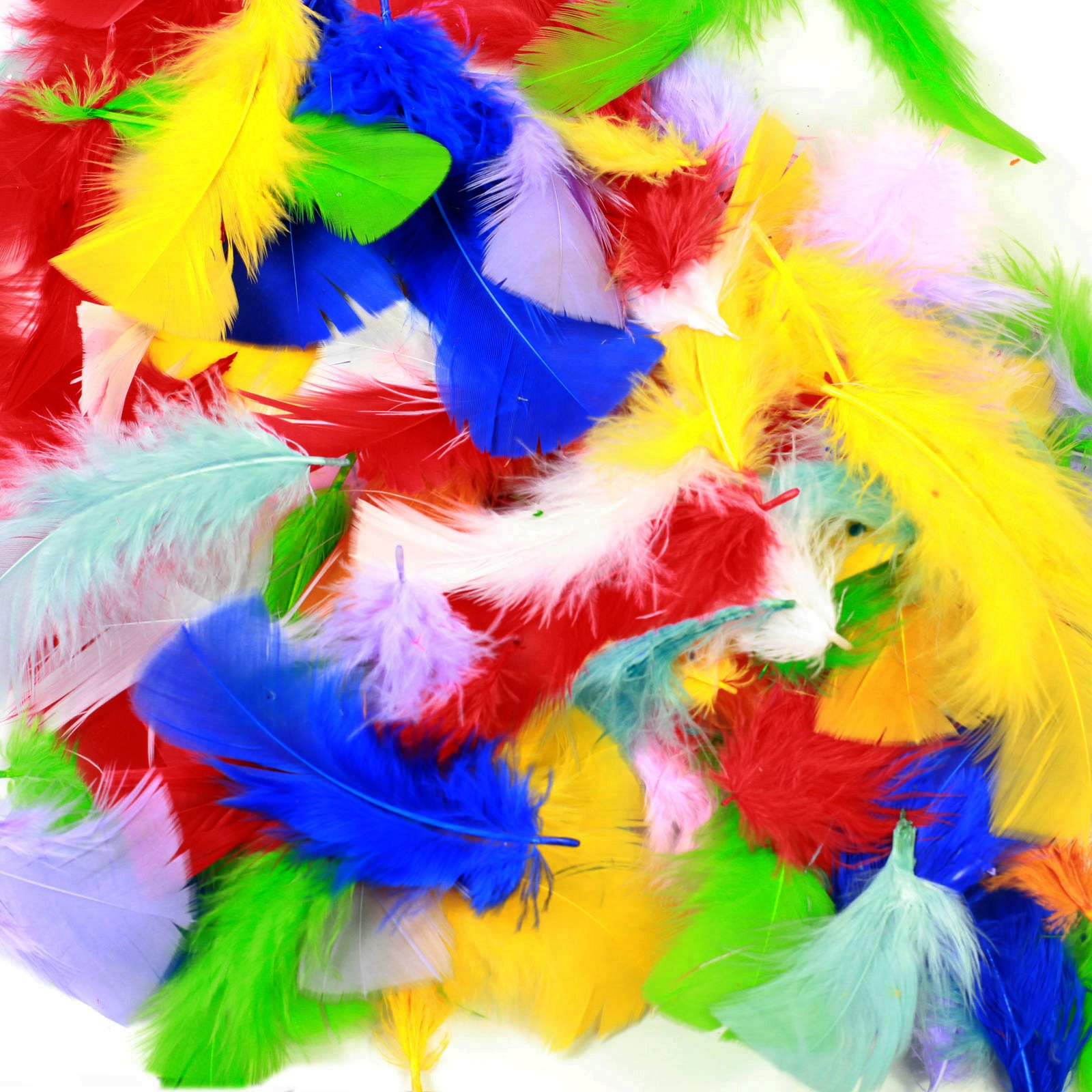 Multicolour Craft Feathers