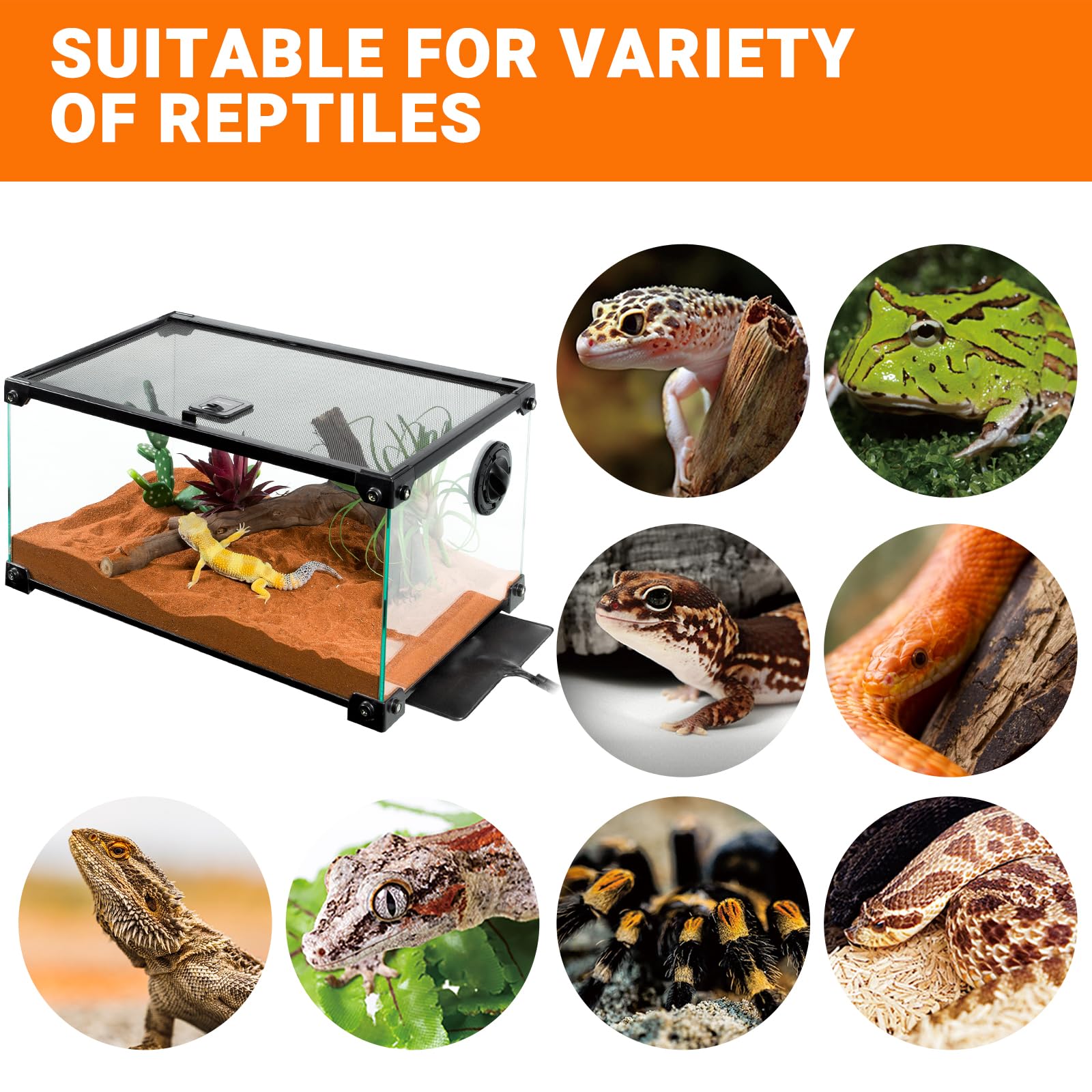 REPTI ZOO Almohadilla de calor para reptiles de 8 x 12 pulgadas, almohadilla de calentamiento rápido de 24 W con termostato ajustable, alfombrilla de calor para tortugas, cangrejos ermitaños, dragones