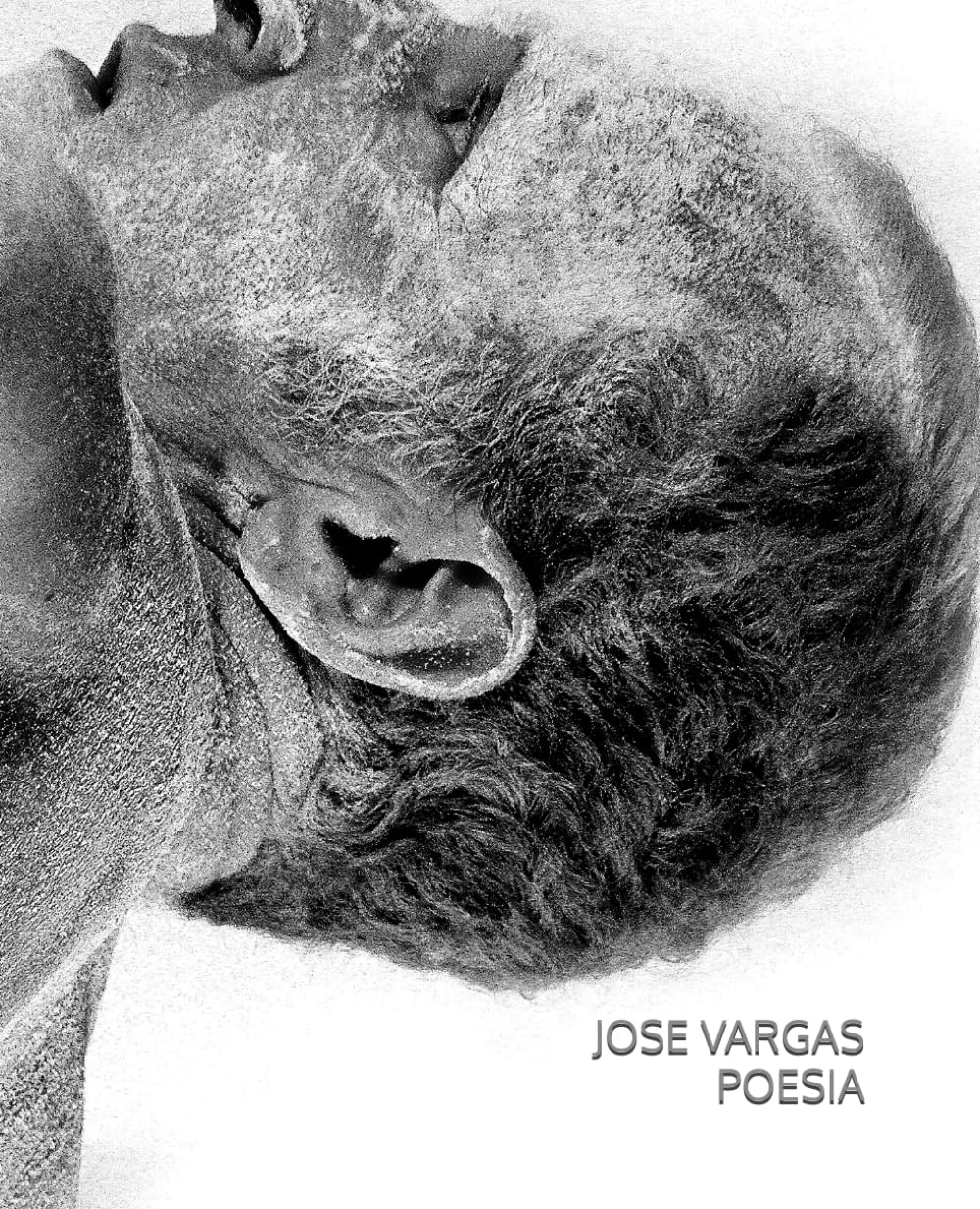 JOSÉ VARGAS. POESÍA