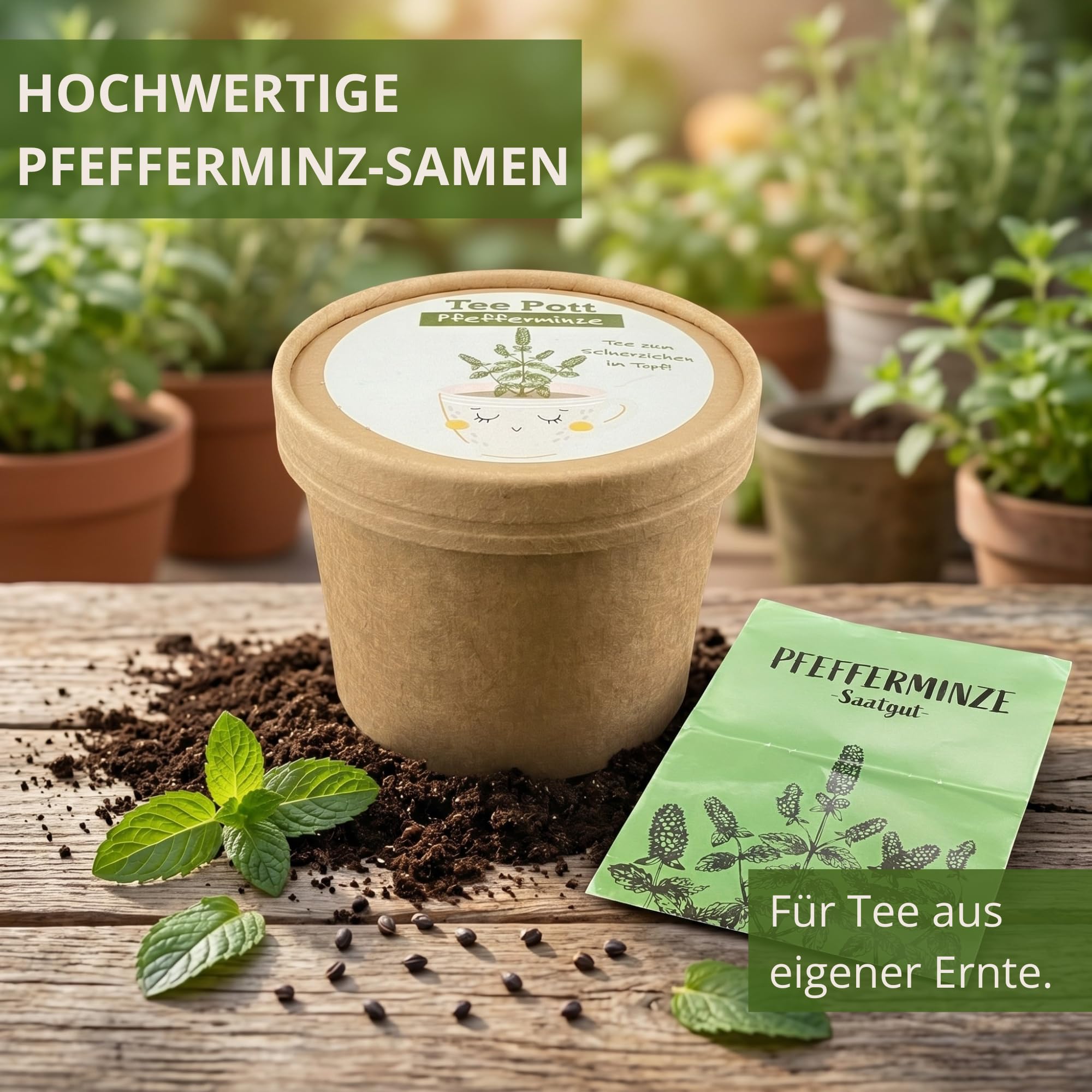 Kit de culture de menthe poivrée avec graines et terre pour rebord de fenêtre