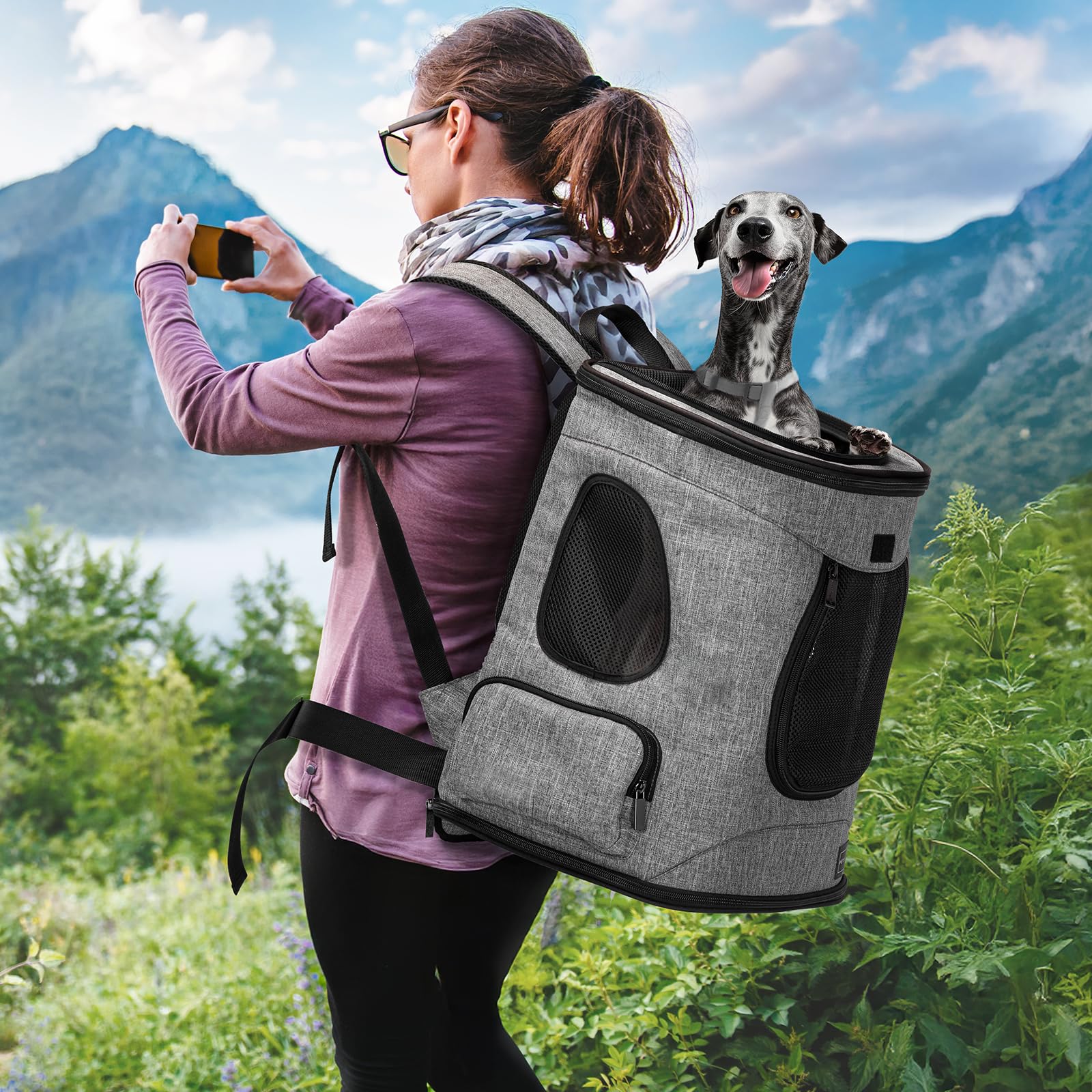 Petsfit Hunderucksack & Katzenrucksack für große Katzen bis 5kg - Leichter Katzen Rucksack mit Netzfenster, Brustgurt & Polster - Atmungsaktiver Rucksack für kleine Hunde, Grau