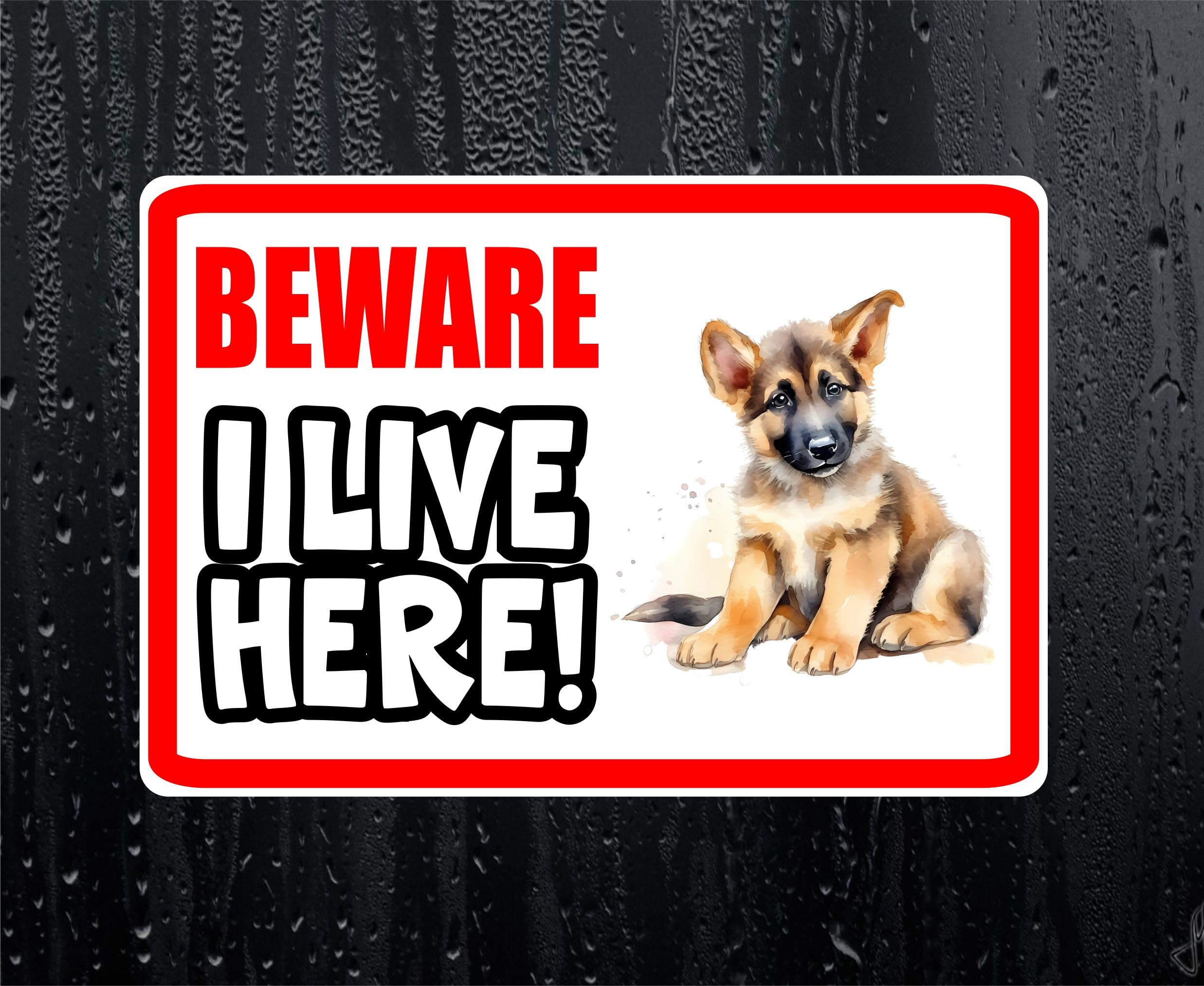Decalarama White German Shepherd Sticker Beware I Live Here House Home Window Door Porch Decal