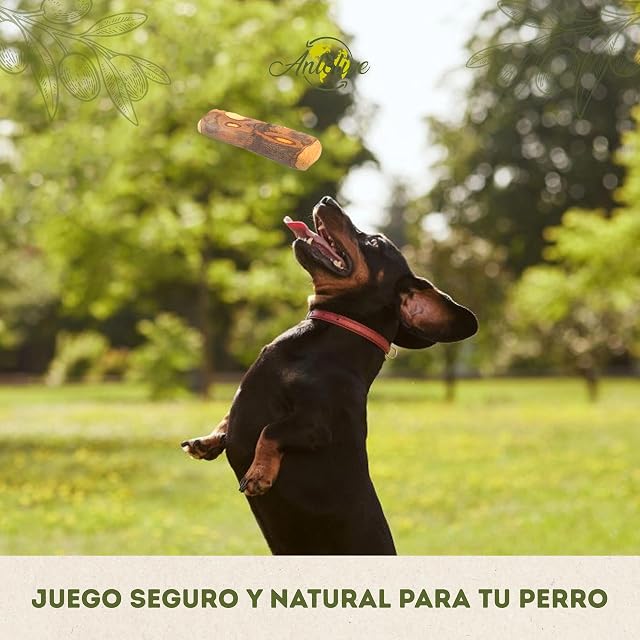 Foto 6 de 7 de Pack de Palos de Madera de Olivo de 17 cm -M- para Perros Medianos/Grandes