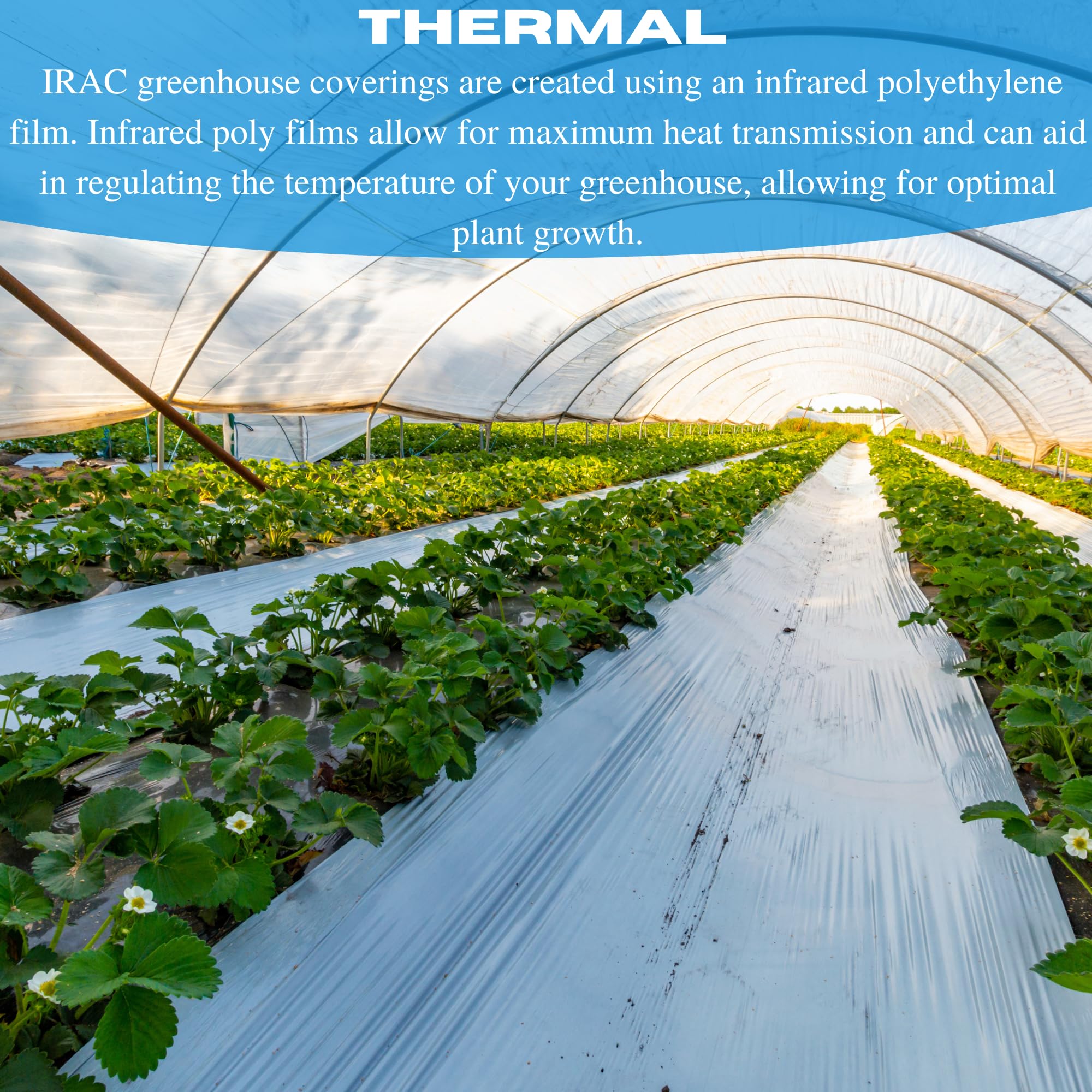 VBS - Clear IRAC Greenhouse Plastic Sheeting - 6 Mil - 4 Year UV Resistant Infrared Anti-Condensate Green House Covering Thermal Greenhouse Plastic 6 mil (40' x 50')